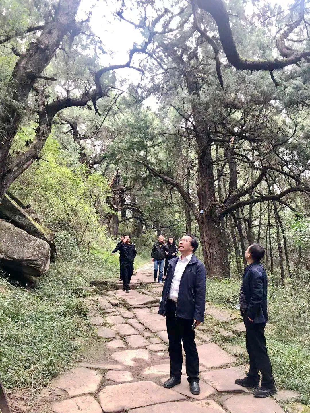 640.webp (3).jpg 640.webp (3).jpg