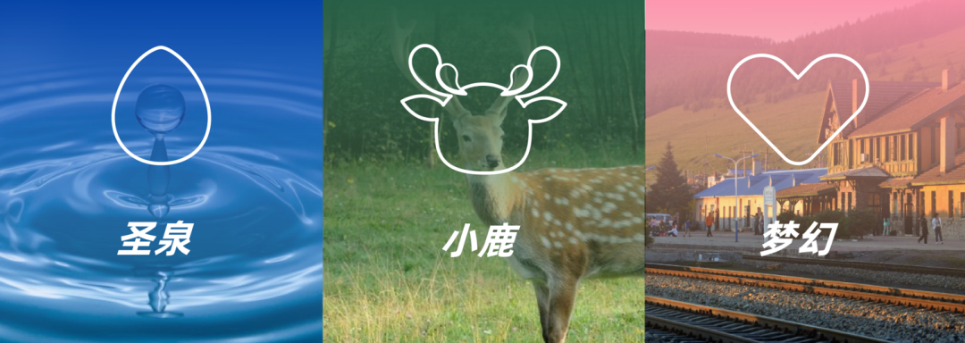 image007.png image007.png