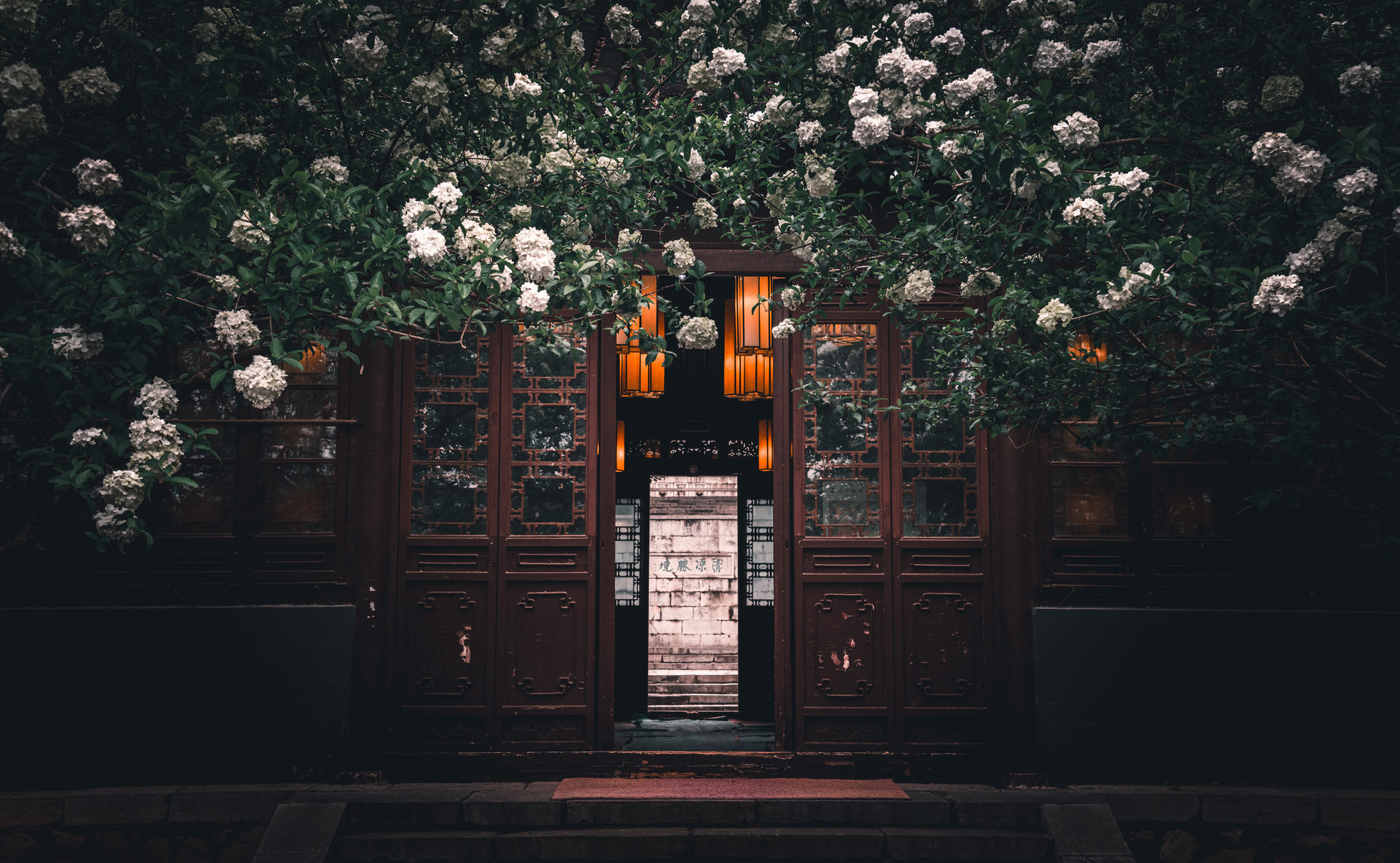 摄图网_501593806_banner_春天南京清凉山崇正书院的植物绣球花与古代建筑(企业商用).jpg 摄图网_501593806_banner_春天南京清凉山崇正书院的植物绣球花与古代建筑(企业商用).jpg